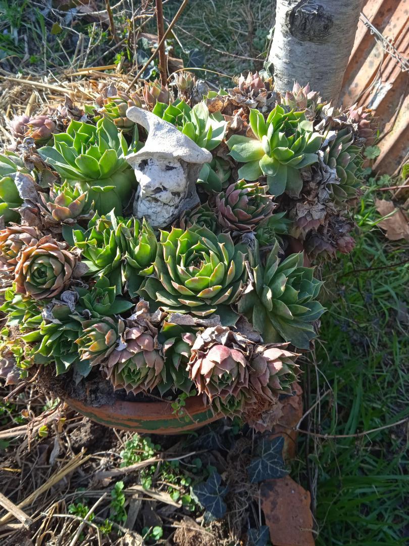 Gnome bannière enfants