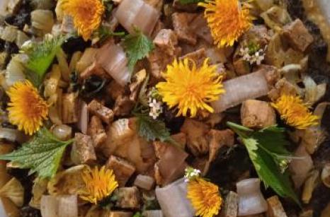 Pizza avec plante sauvages