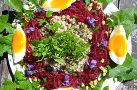 Salade avec cressonette et pissenlit