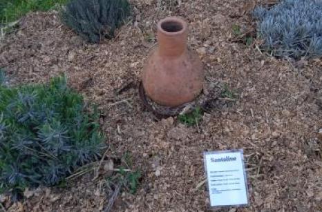 Jardin médicinale vue general