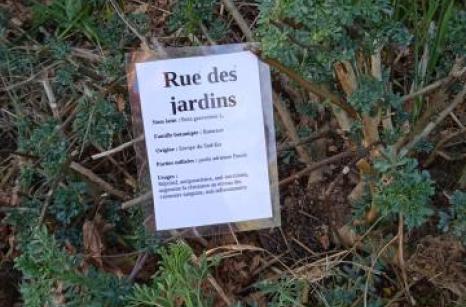 Rue des jardins Ettiquette