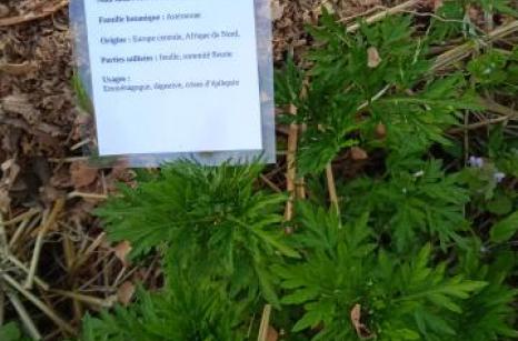 Armoiuse commune Ettiquette