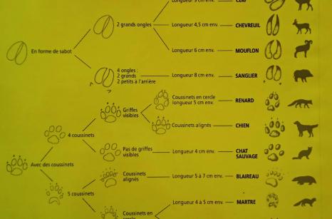 Empreintes comparaison