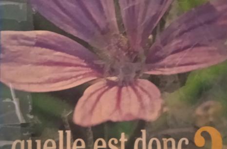 Livre fleur